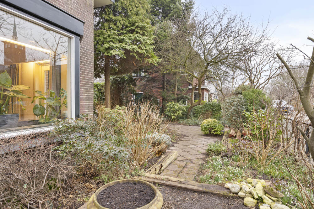 Foto 56 1000w