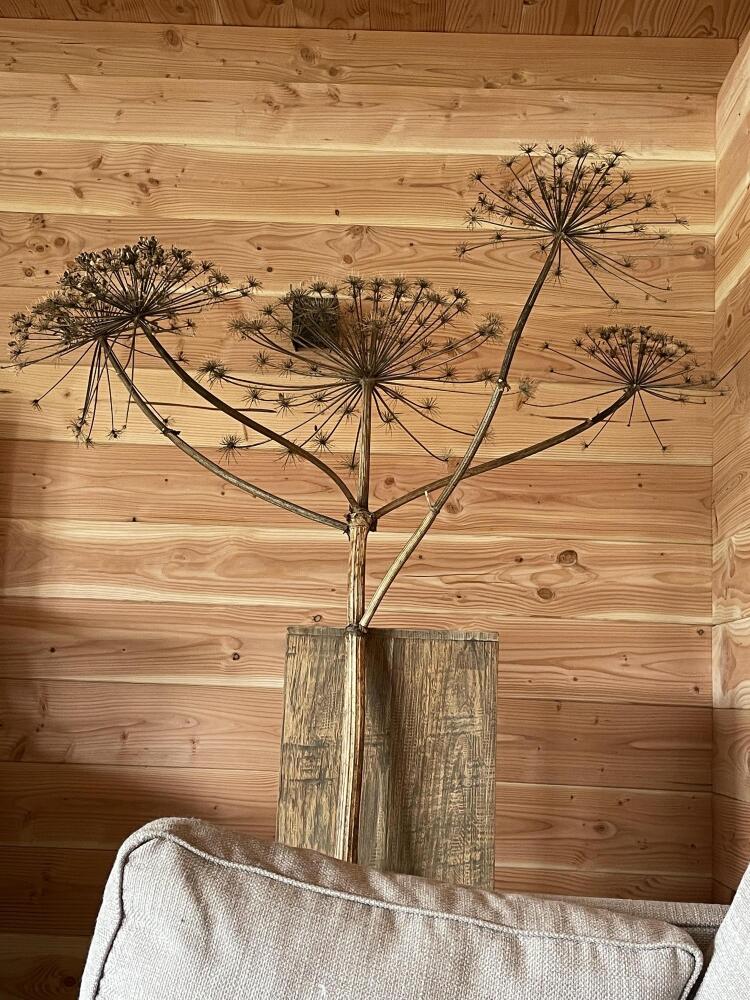 Foto 89 1000w