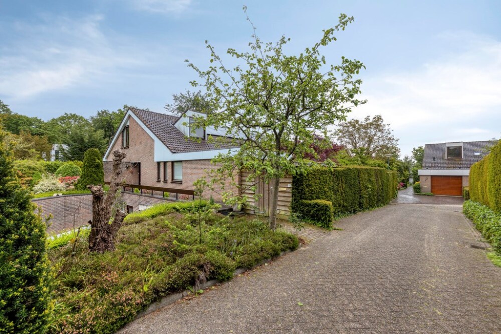 Foto 74 1000w