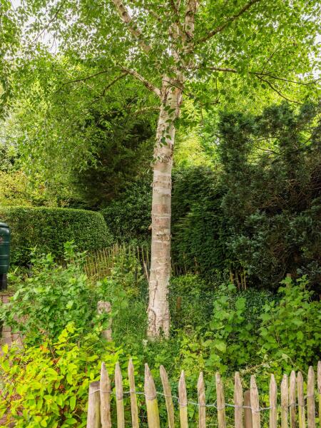 photo 61 Natteweg 13