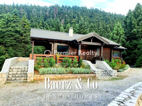 photo 4 950495 - Chalet | Eptalofos, Parnassos, 480 sq.m.