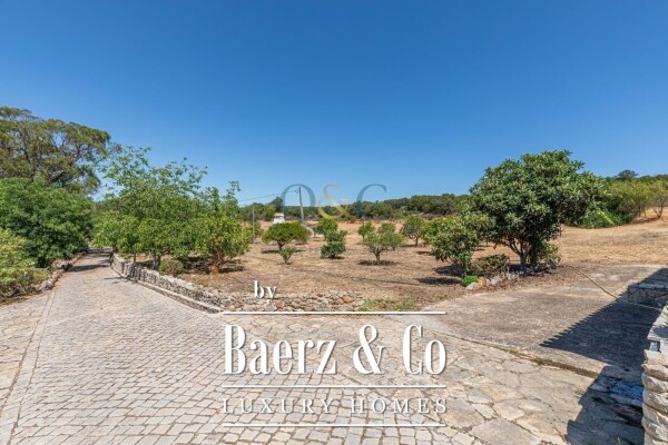 photo 30 Beautiful luxury home in São Brás de Alportel, Countryside