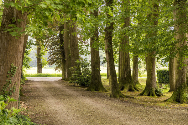 photo 7 Hasseltweg 29