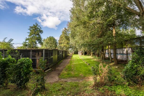 photo 61 Den Ilp 108