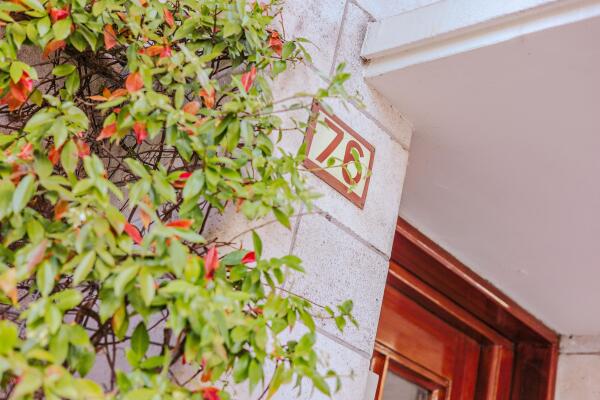 photo 35 Minervalaan 76 3