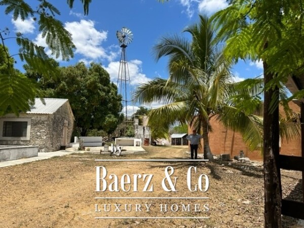 photo 8 Sudzal carretera a Tzalam, Km 7 