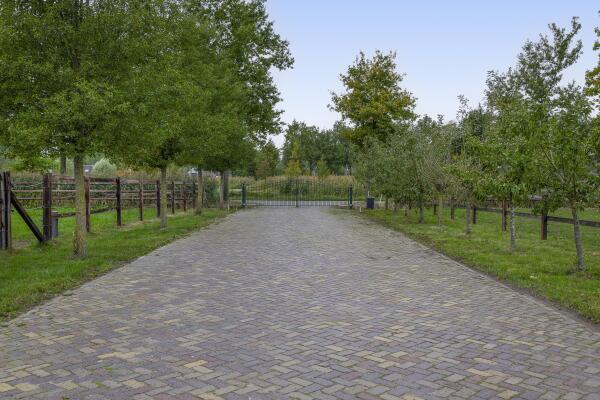 photo 41 Dungensesteeg 10