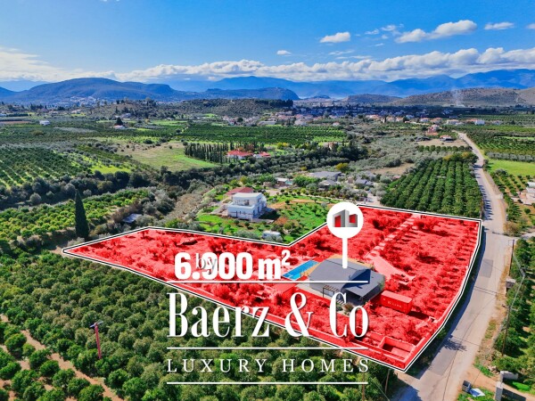 photo 2 1992100 - Detached house For sale, Nea Tirintha, 125 sq.m., €690.000