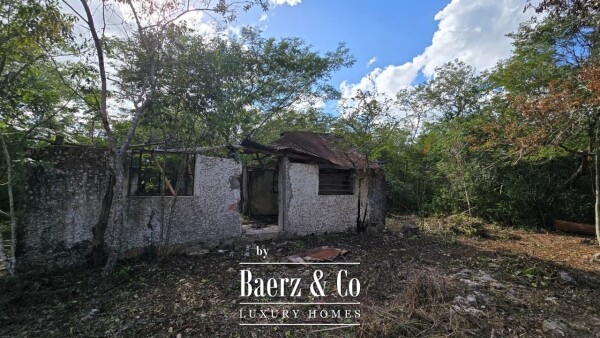 photo 9 Sagrado - Valladolid 