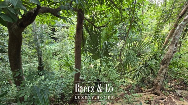 photo 22 Sagrado - Valladolid 