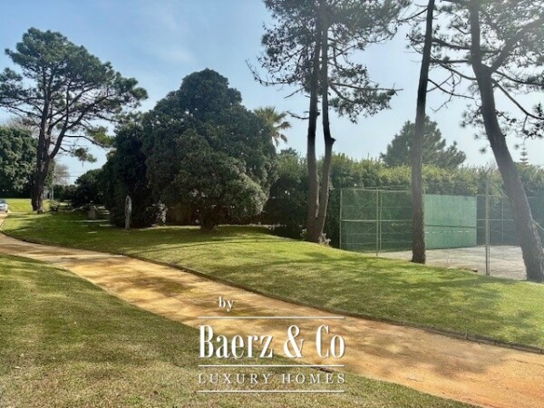 photo 15 Fantastic  Villa