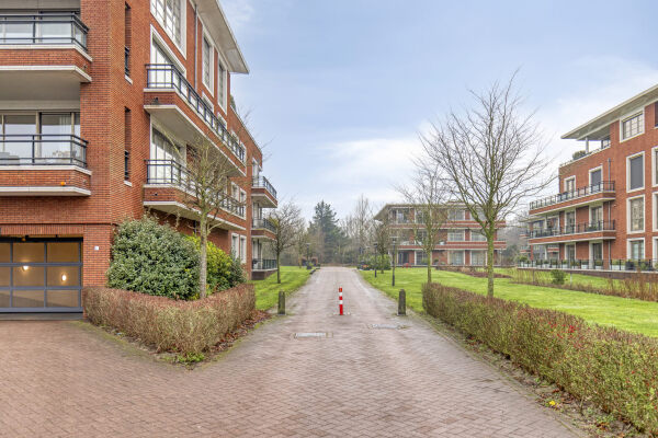 photo 37 Jan Wilshof 85