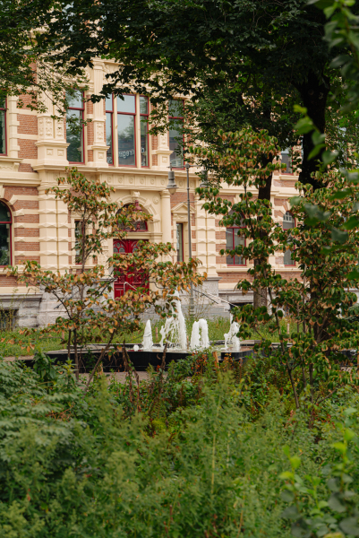 photo 34 Droogbak 7 H