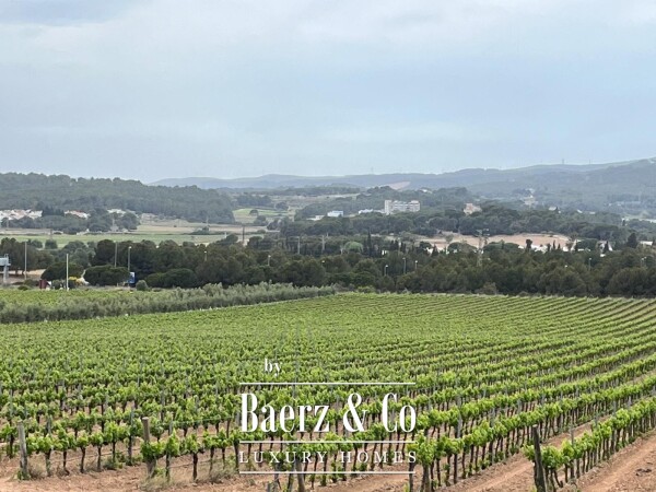 photo 6 Historic Modernist Country House with Vineyard