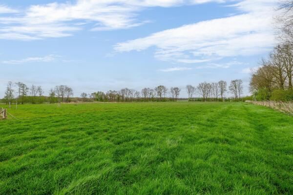 photo 41 Buikheide 14