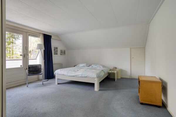 photo 44 Zilvermos 2