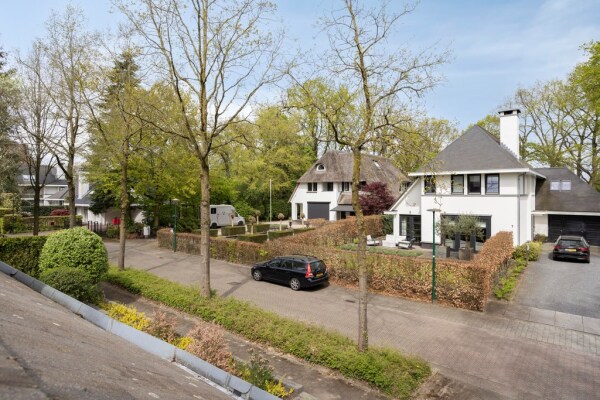 photo 61 Zilvermos 2