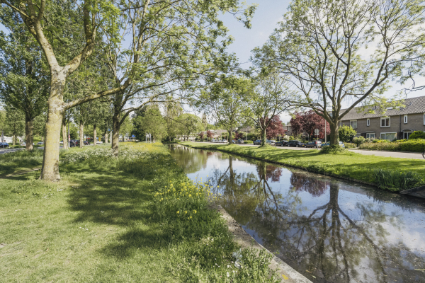 photo 55 Klaasje Zevensterstraat 557
