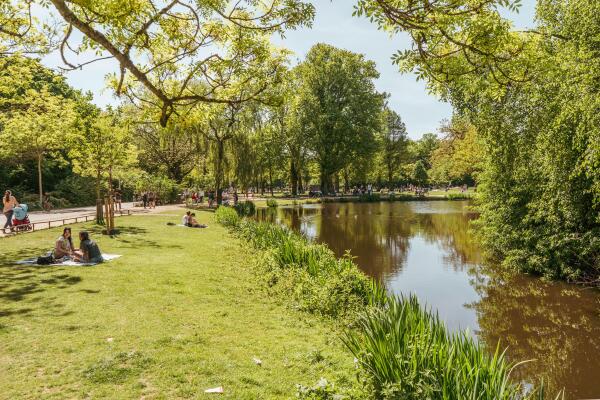 photo 35 Van Breestraat 122 2