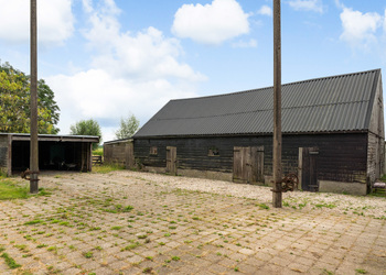 ZWAMMERDAM