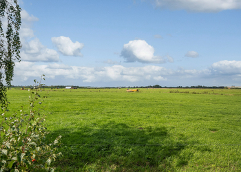 PIJNACKER